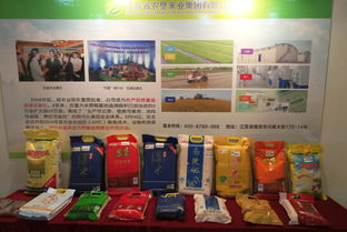 糧油盛會(huì)，智贏未來(lái)——記我司成功參展第十四屆中國(guó)國(guó)際糧油產(chǎn)品及設(shè)備技術(shù)展示交易會(huì)